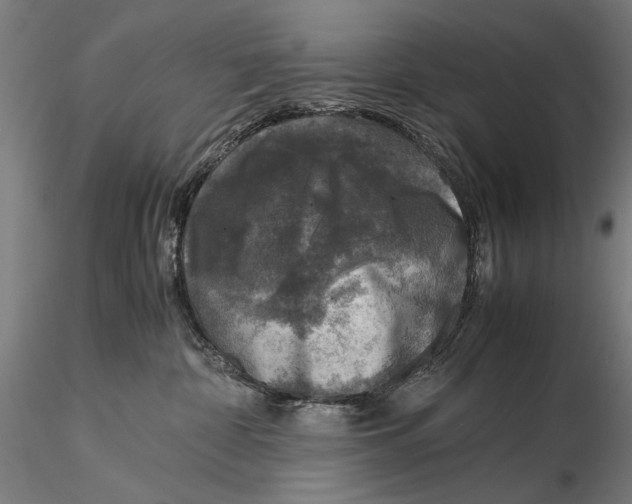 X0000115510332200912041107