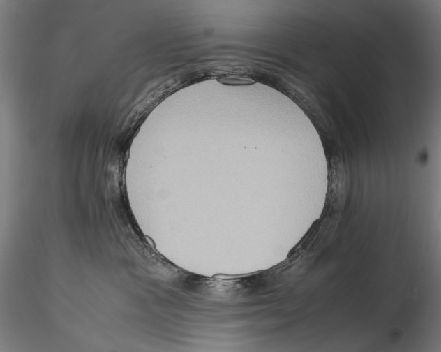 X0000115510333200912041107