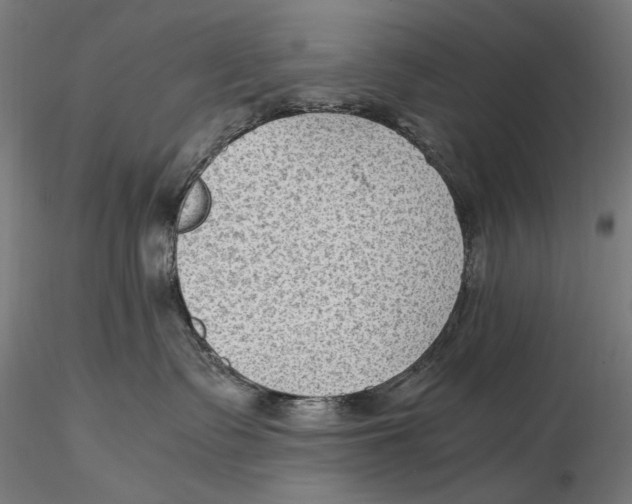 X0000115510335200912041107