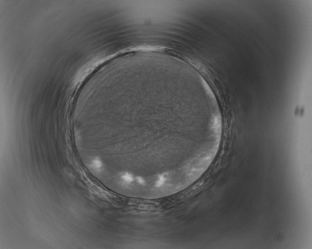 X0000115510337200912041106