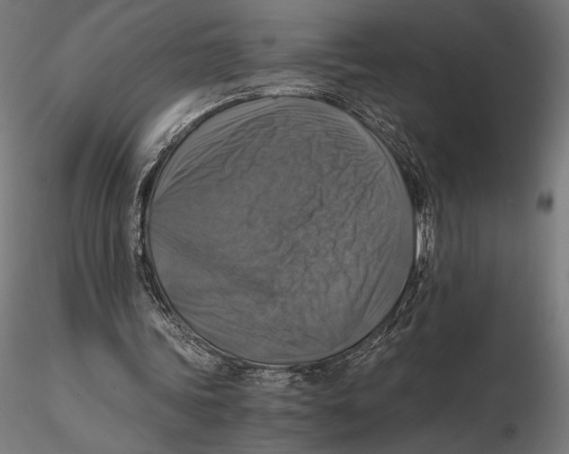 X0000115510339200912041107