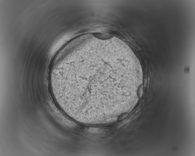 X0000115510341200912041107