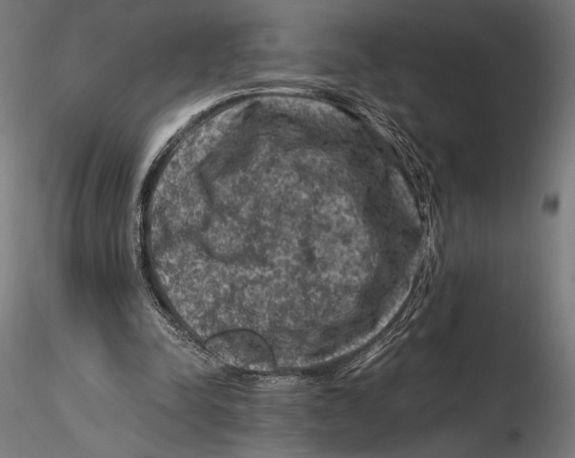 X0000115510342200912041107