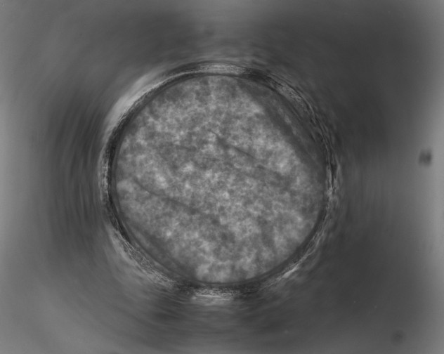 X0000115510343200912041107