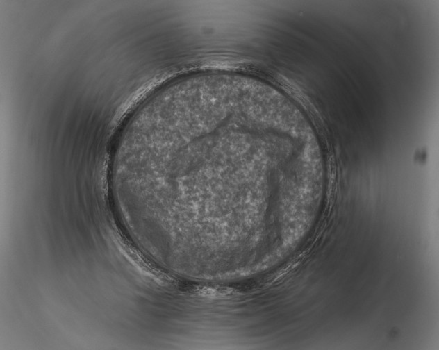 X0000115510346200912041107