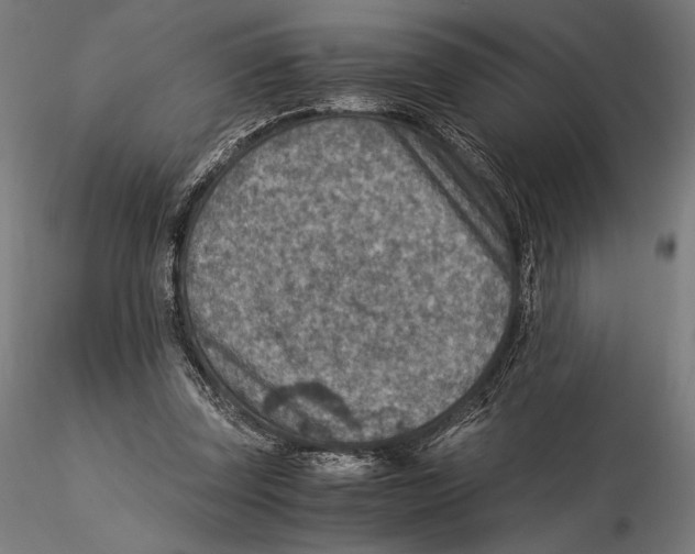 X0000115510347200912041107