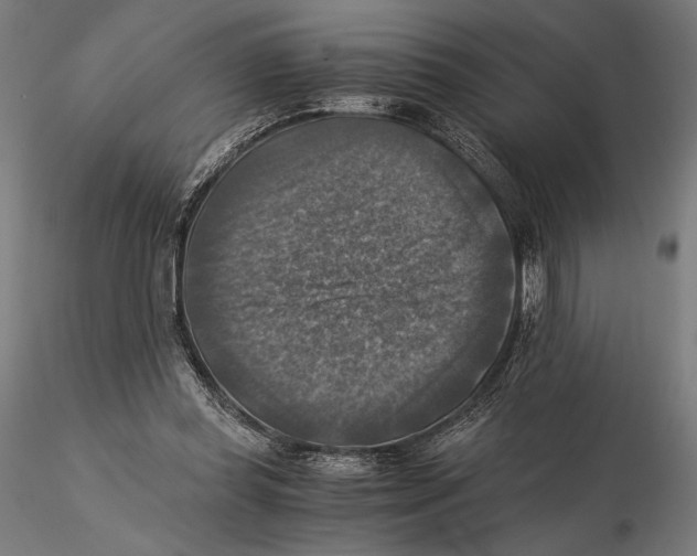 X0000115510349200912041107