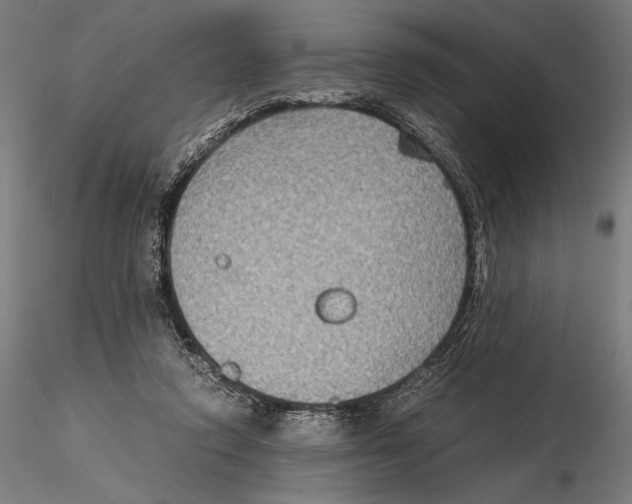 X0000115510354200912041107