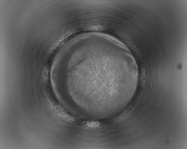 X0000115510355200912041107