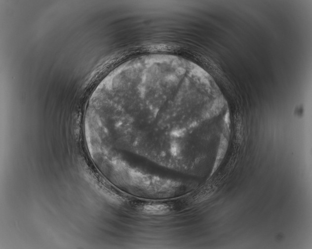 X0000115510357200912041107