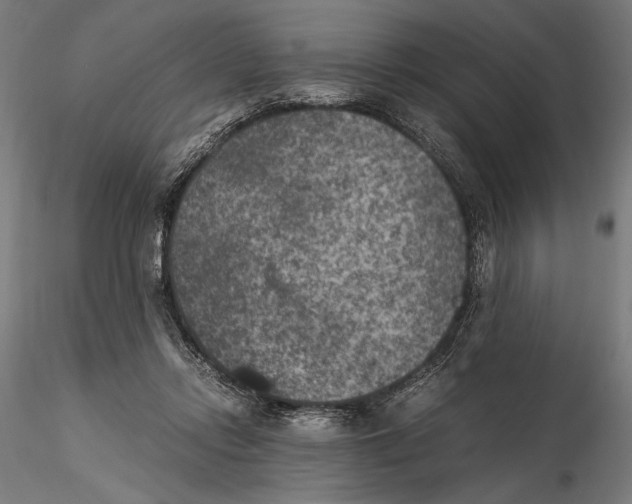 X0000115510358200912041107