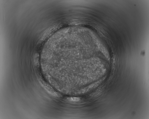 X0000115510361200912041107