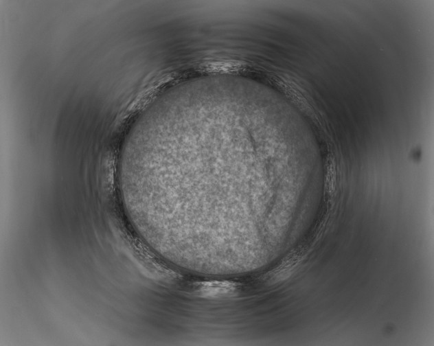 X0000115510363200912041107