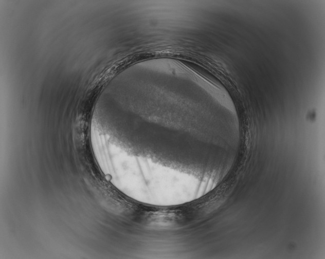 X0000115510366200912041107