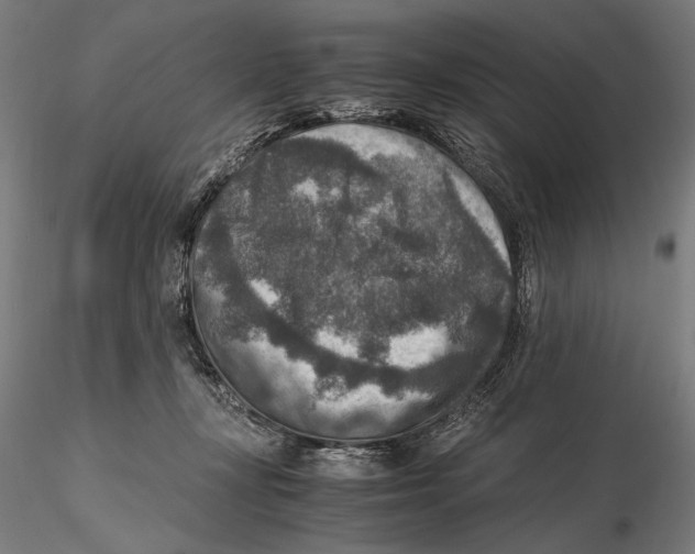 X0000115510367200912041107