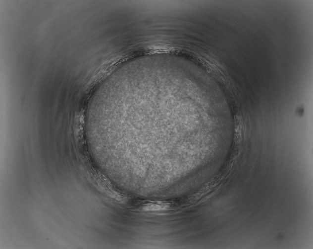 X0000115510369200912041107