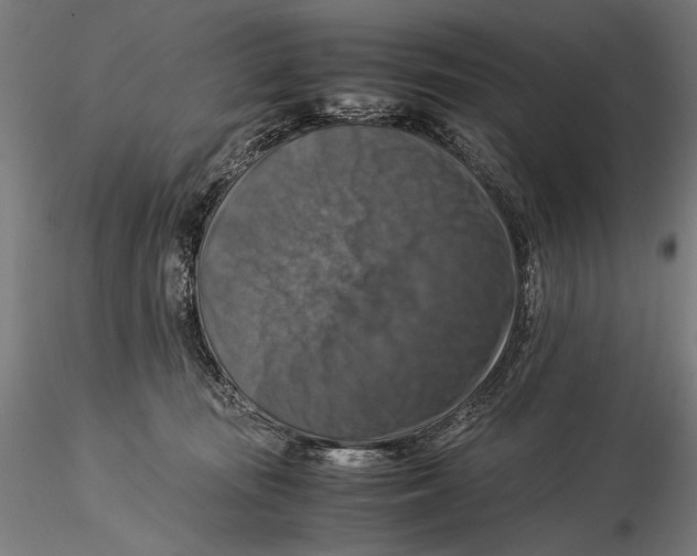 X0000115510371200912041107