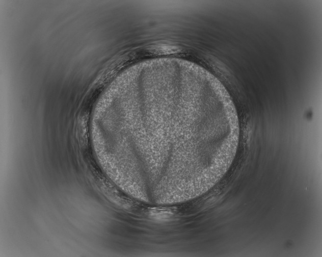 X0000115510373200912041107