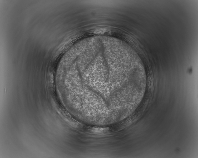 X0000115510375200912041107