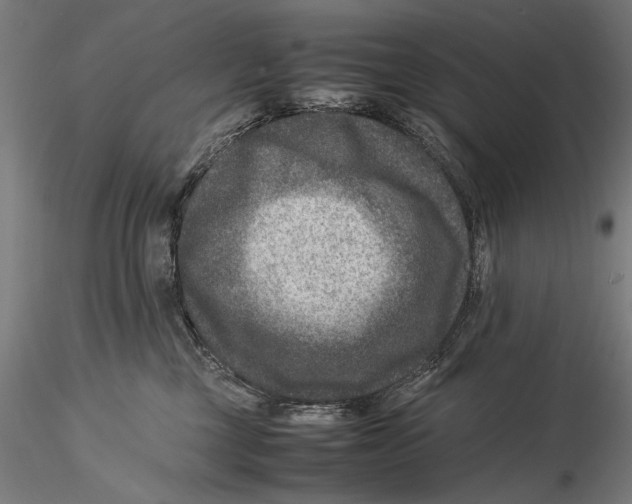 X0000115510377200912041107