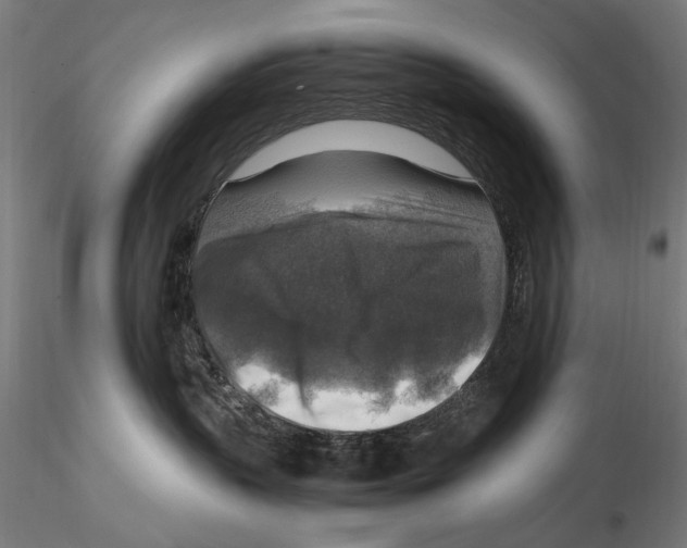 X0000115510383200912041107