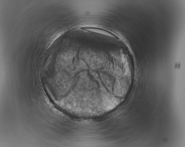 X0000115510385200912041106