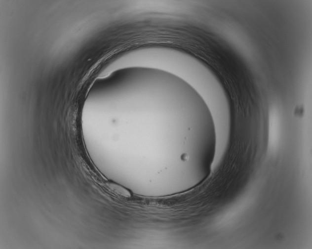 X0000115510387200912041106