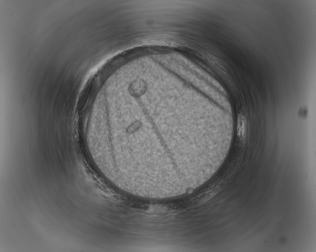 X0000115510388200912041106