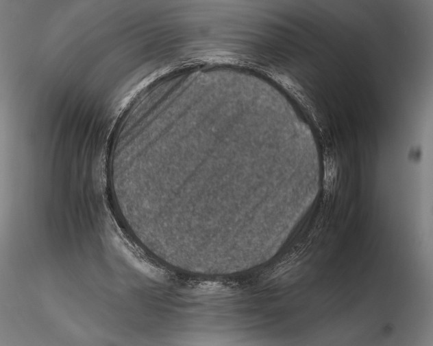 X0000115510390200912041106