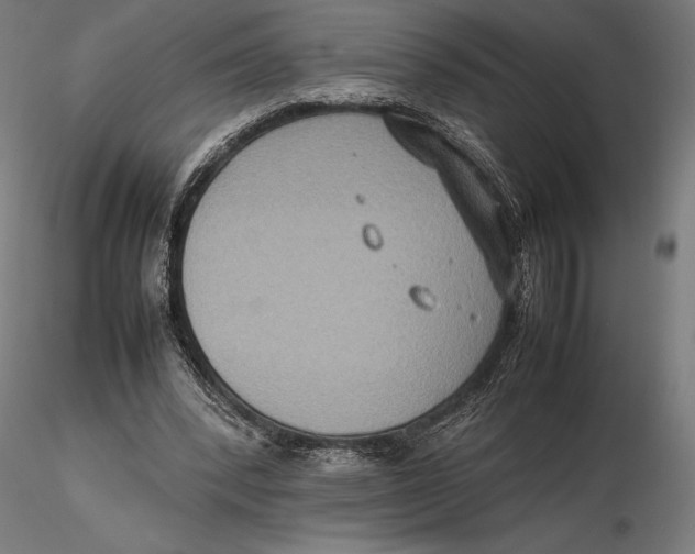 X0000115510392200912041106