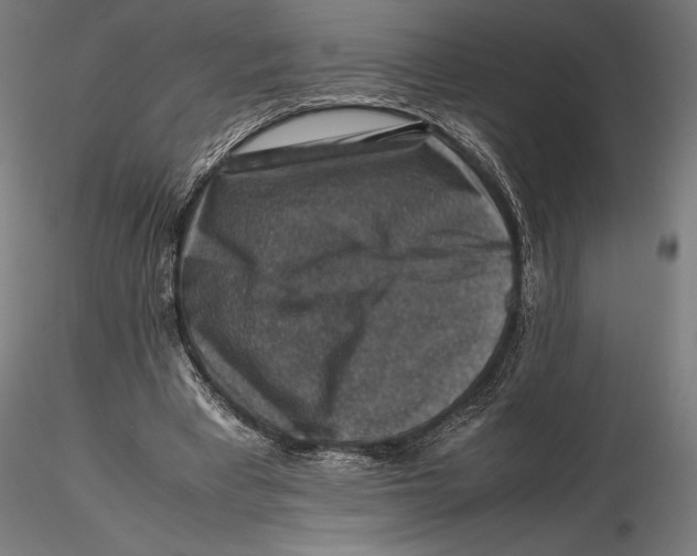 X0000115510393200912041106