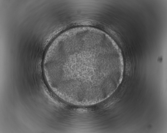 X0000115510394200912041106