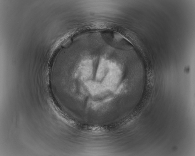 X0000115510395200912041106