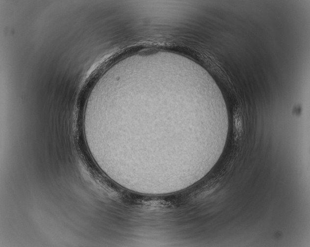 X0000115510396200912041106