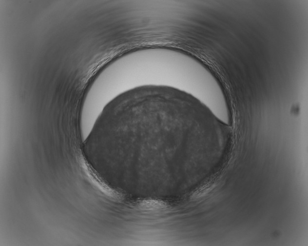 X0000115510397200912041106