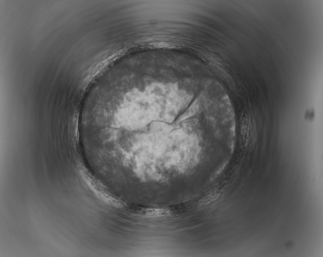 X0000115510398200912041106