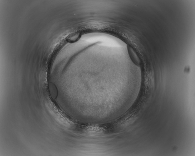 X0000115510399200912041106