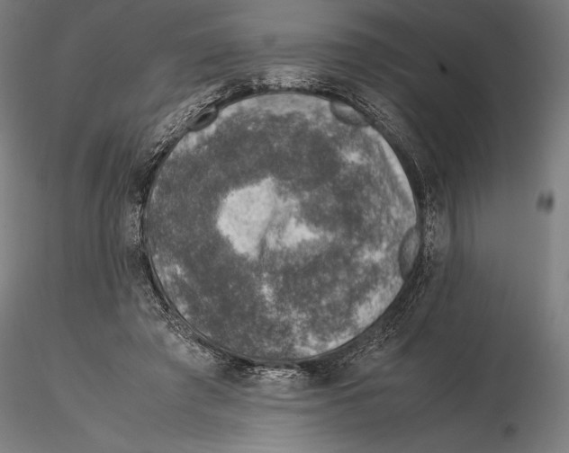 X0000115510401200912041106