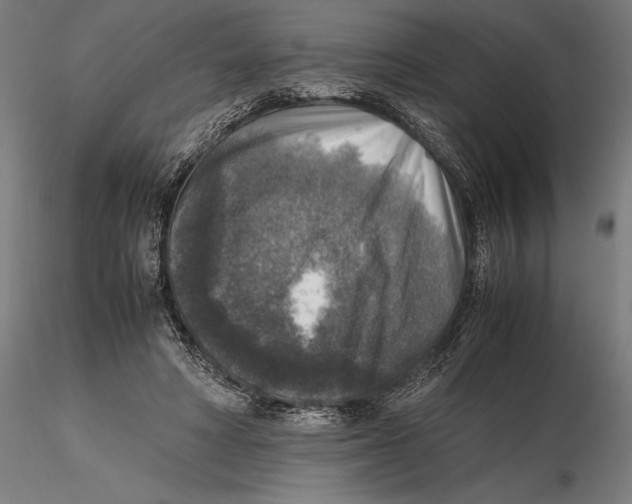 X0000115510402200912041106