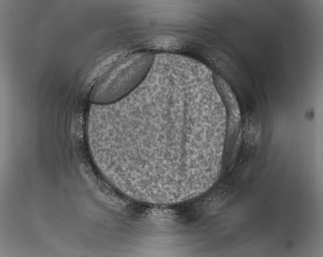 X0000115510403200912041106