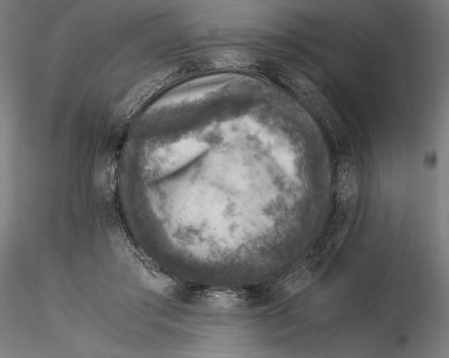 X0000115510405200912041106