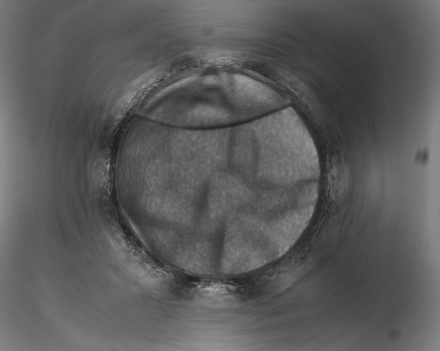 X0000115510407200912041106