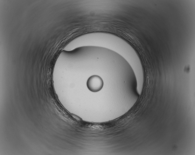 X0000115510409200912041106