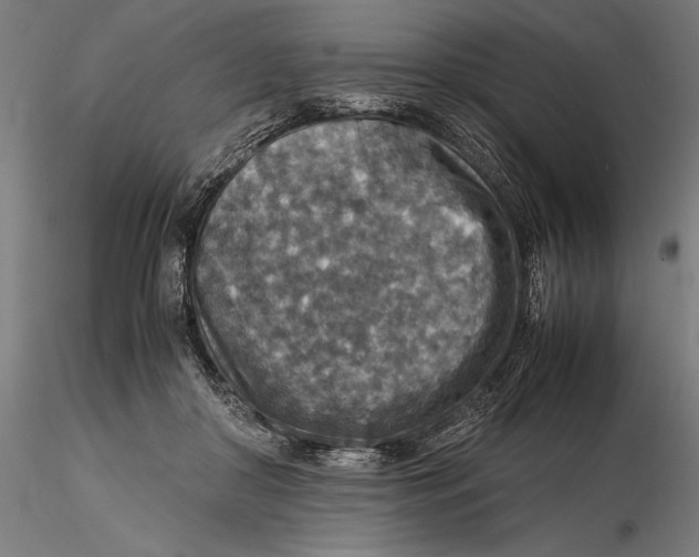 X0000115510410200912041106