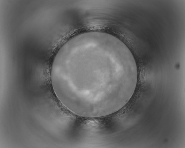 X0000115510411200912041106