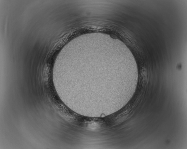 X0000115510412200912041106