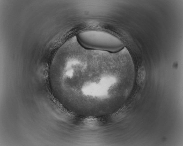 X0000115510413200912041106