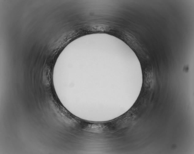 X0000115510414200912041106