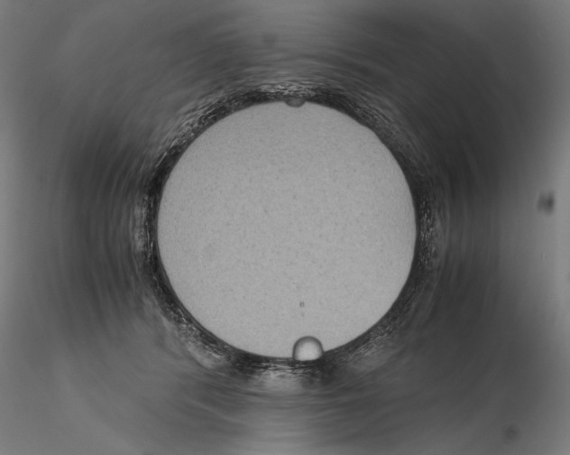 X0000115510416200912041106