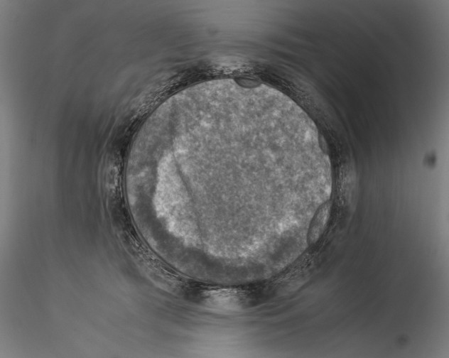 X0000115510417200912041106